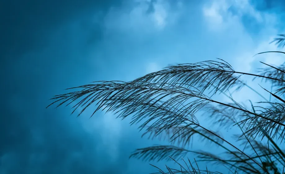 Previsioni meteo: due giorni di tregua ma con vento forte
