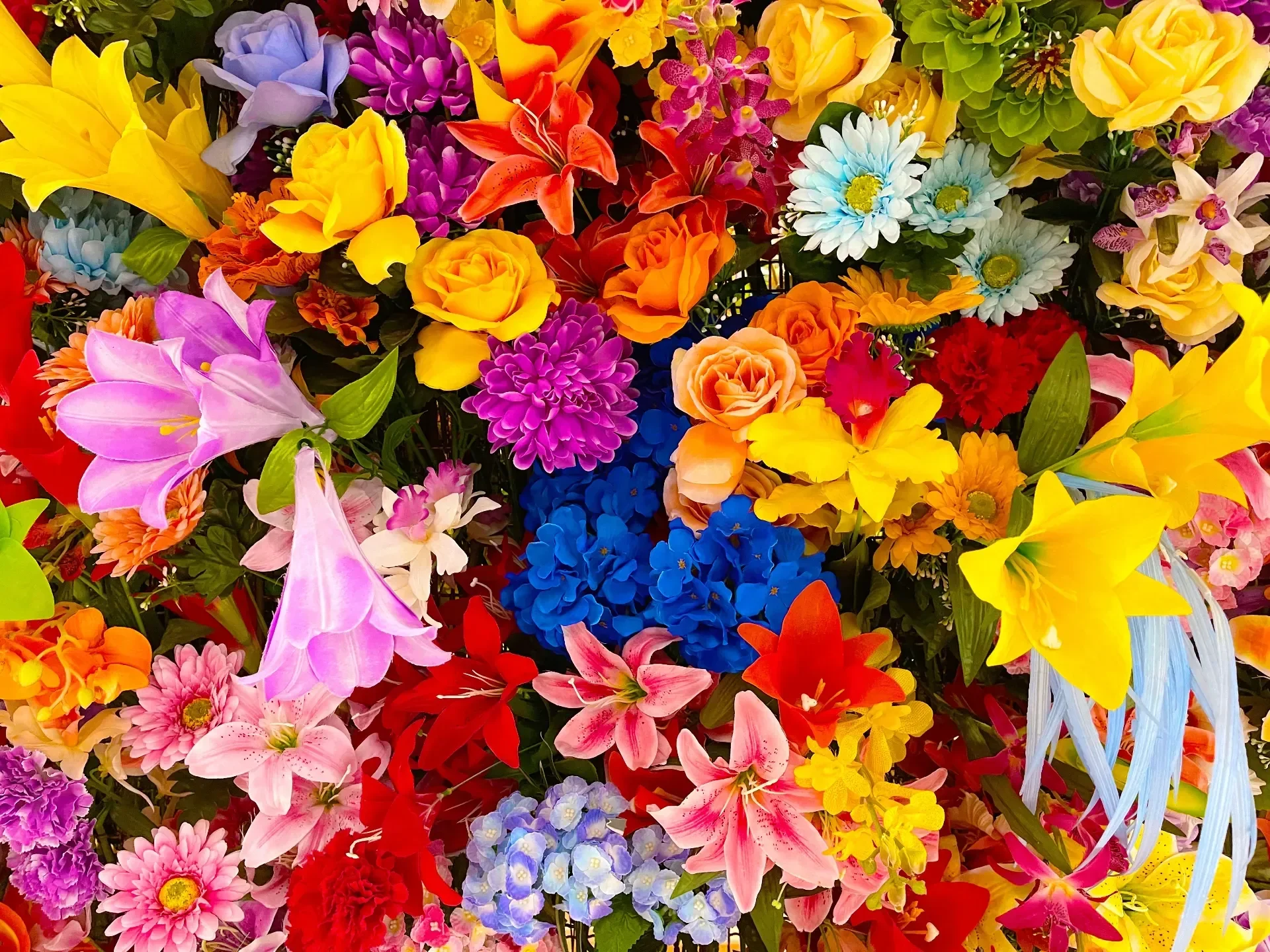 Acireale si veste di primavera: da oggi al via l’attesa Festa dei Fiori 2026